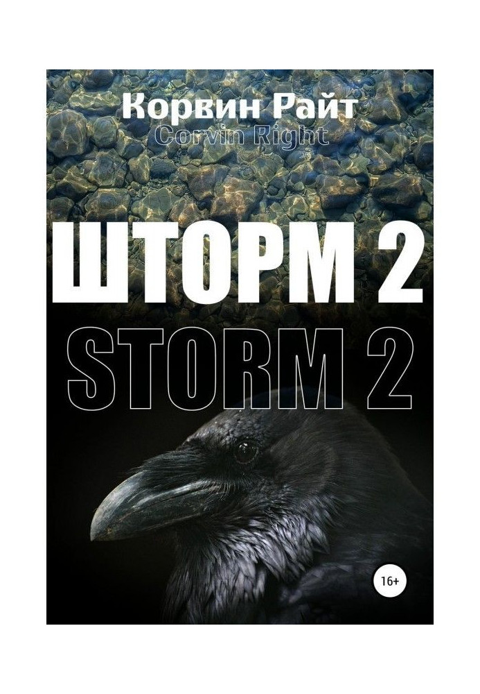 Книга Шторм-2