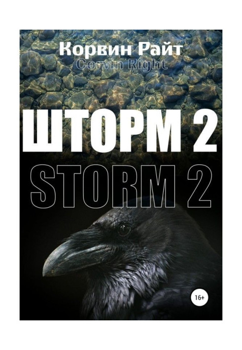 Книга Шторм-2
