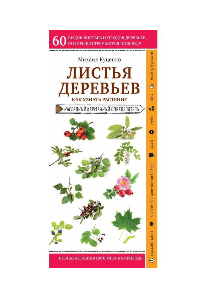 Книга Листя дерев. Як дізнатися рослину