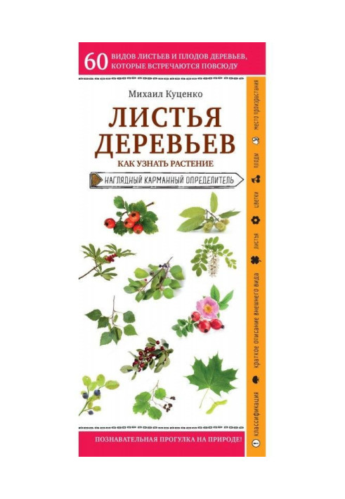 Книга Листья деревьев. Как узнать растение