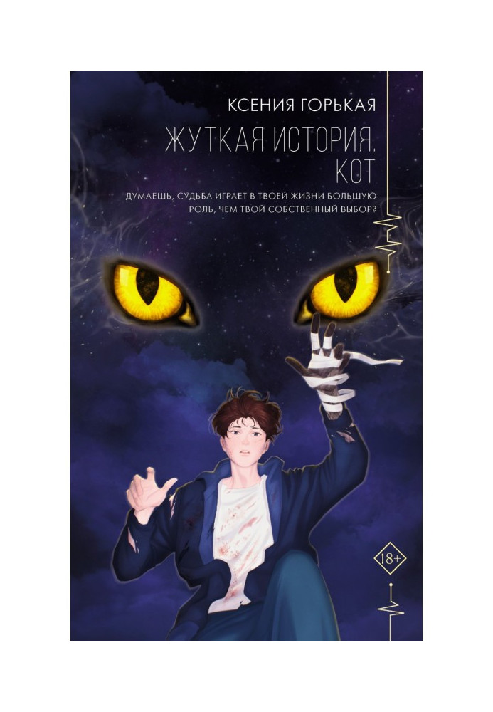 Книга Жуткая история. Кот