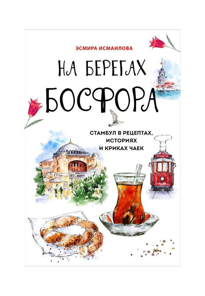 Book On the banks of Bosporus. Istanbul is in recipes, histories and screaming of gulls