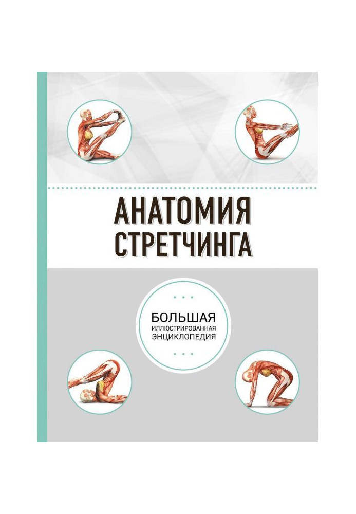 Книга Анатомия стретчинга