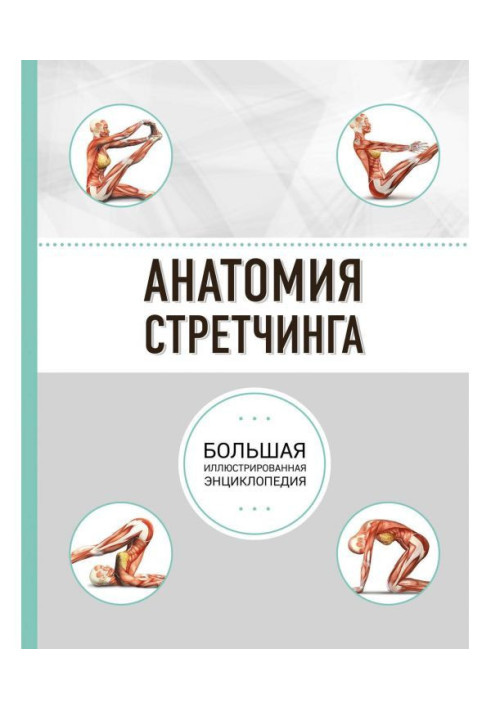 Книга Анатомия стретчинга