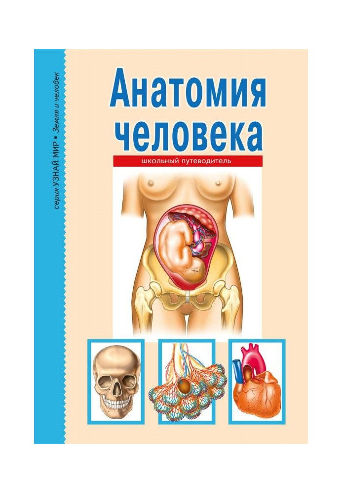 Книга Анатомия человека