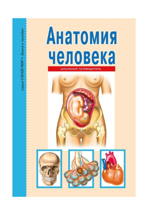 Книга Анатомия человека