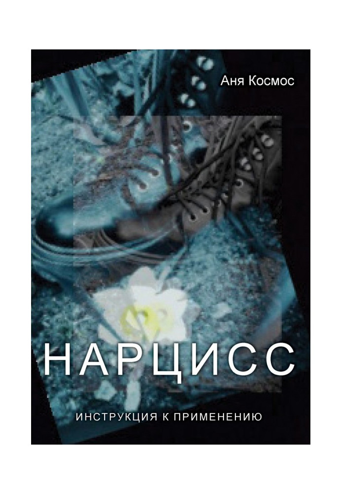 Книга Нарцис. Інструкція до застосування