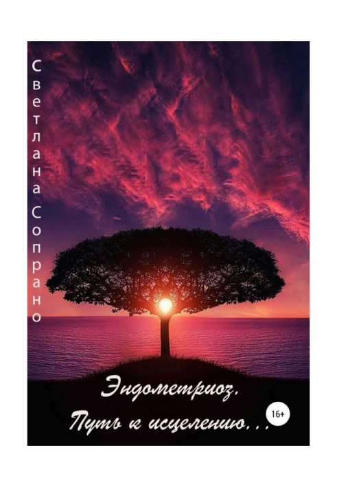 Книга Эндометриоз. Путь к исцелению…