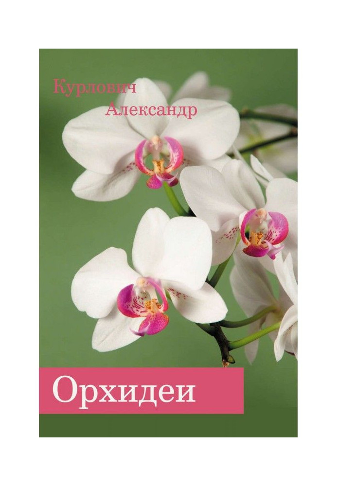 Book Orchids