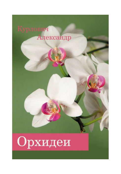 Book Orchids