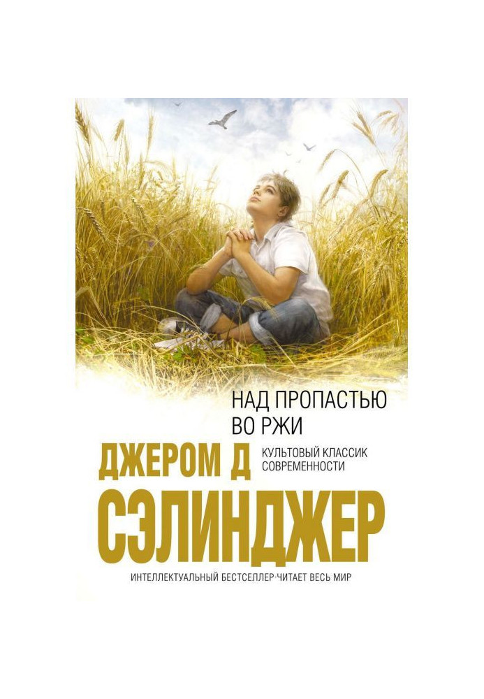 Книга Над пропастью во ржи