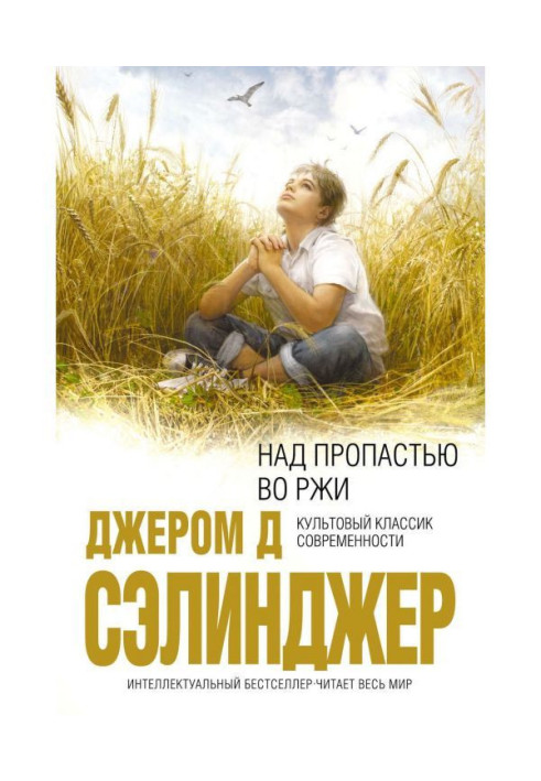 Книга Над пропастью во ржи