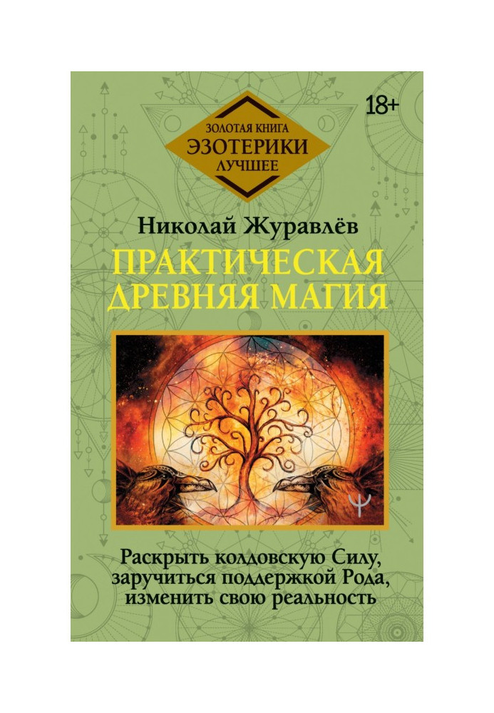 Book Practical ancient magic. Reveal the magical Power, enlist the support of the Family, change your reality