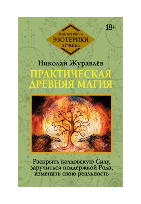 Книга Практична стародавня магія. Розкрити чаклунську Силу, заручитися підтримкою Рода, змінити свою реальність