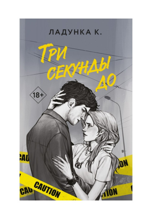 Книга Три секунди до