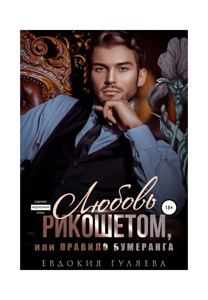 Book Ljubov by a ricochet, or Rule of boomerang