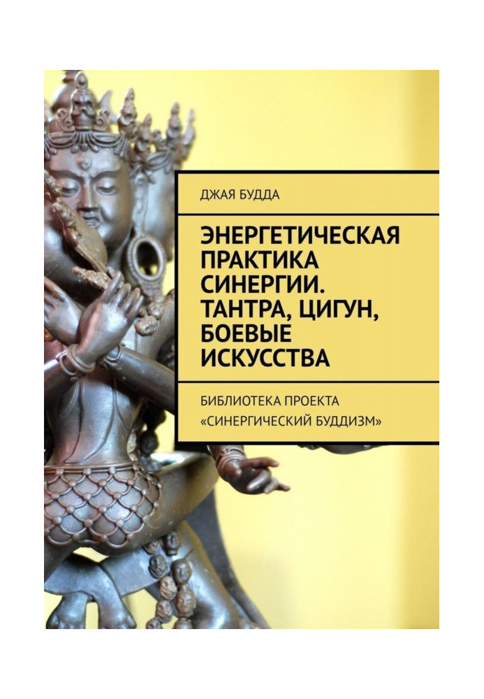 Книга Энергетическая практика синергии. Тантра, цигун, боевые искусства. Библиотека проекта «Синергический буддизм»