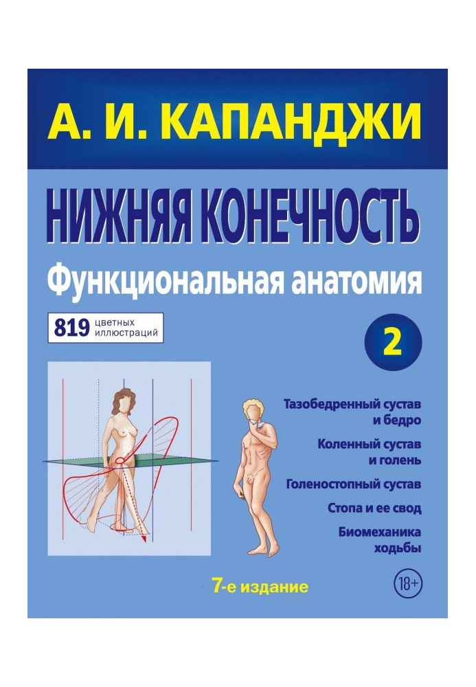 Book Lower limb. Functional anatomy