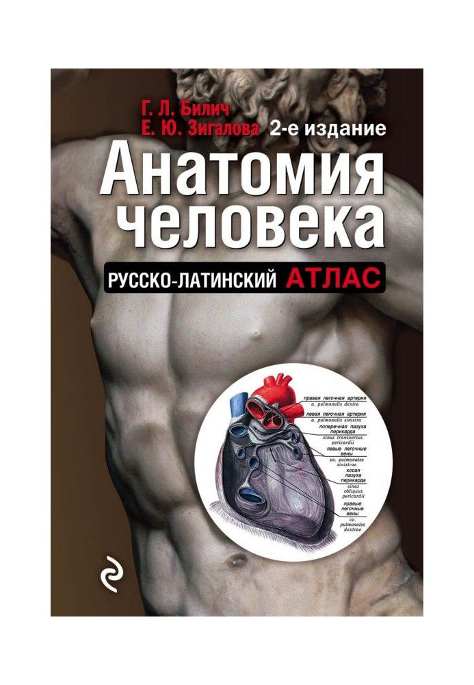 Книга Анатомия человека. Русско-латинский атлас