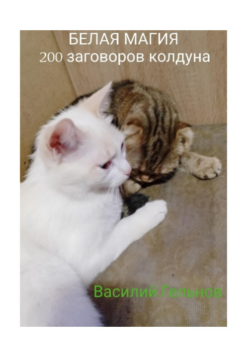 Книга Біла магія. 200 змов чаклуна