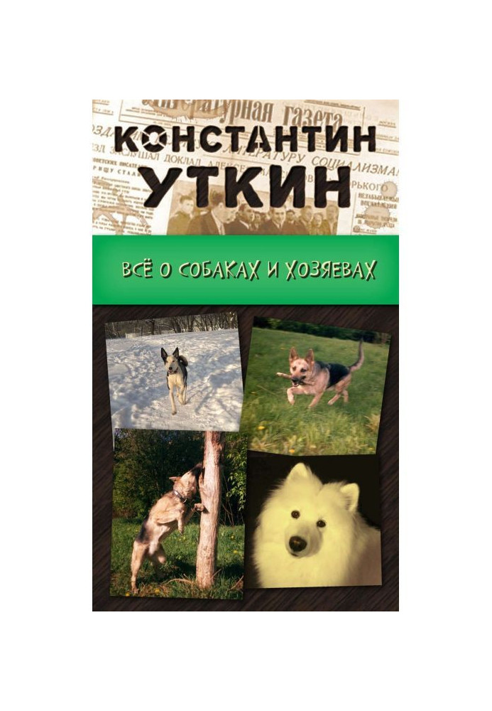 Книга Кинология. Всё о собаках и хозяевах