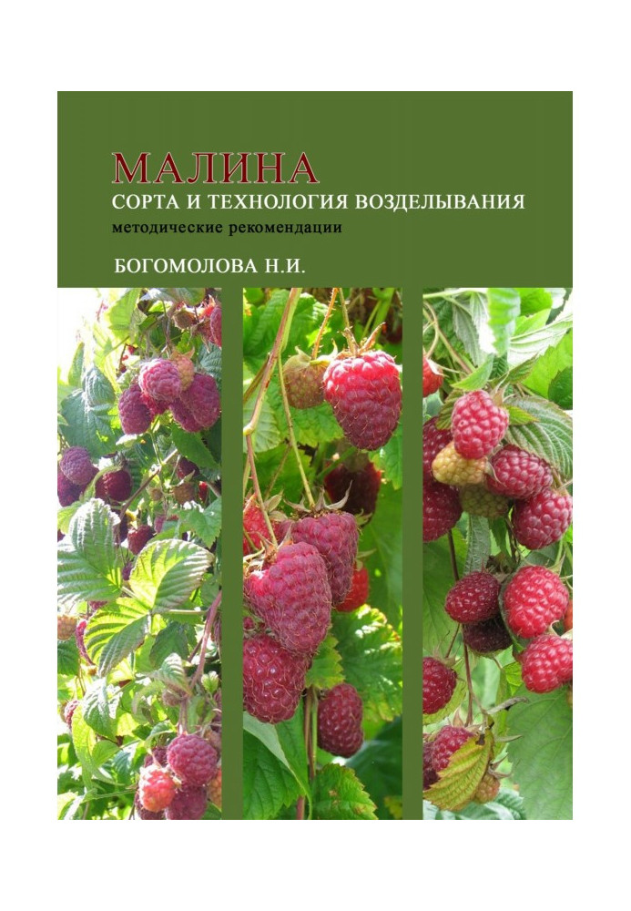 Book Raspberries: varieties and cultivation technology (guidelines)