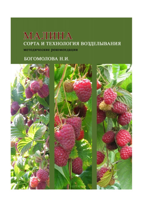 Book Raspberries: varieties and cultivation technology (guidelines)