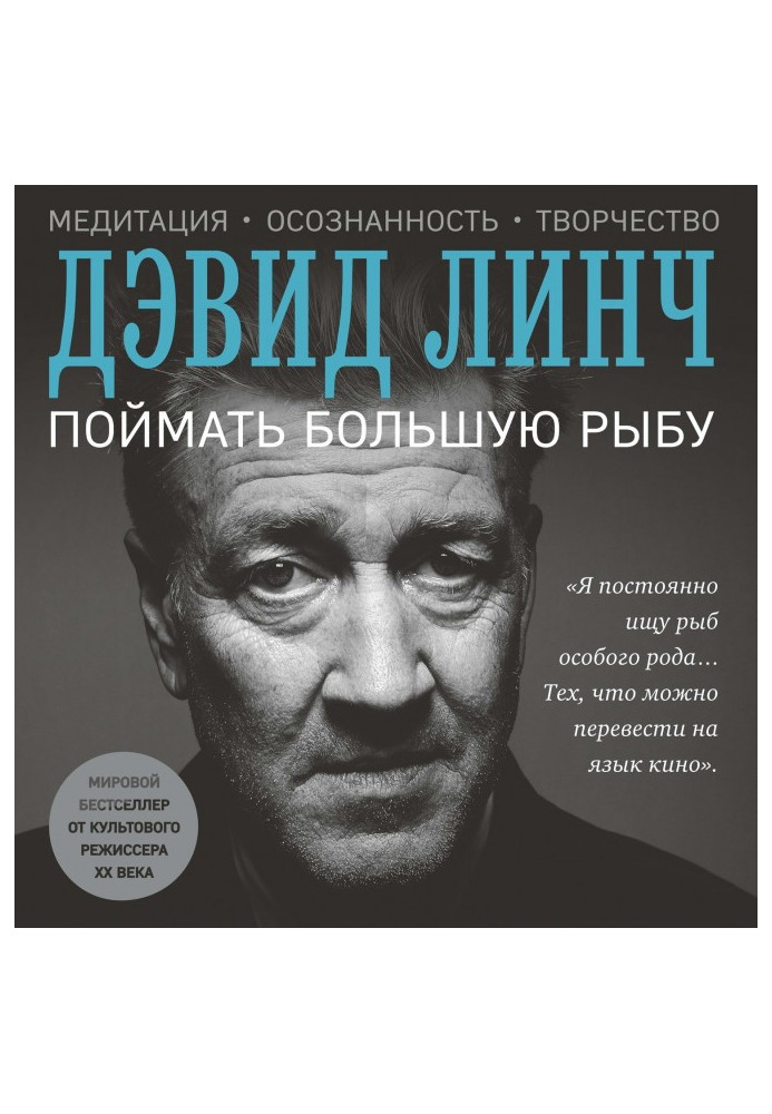 Книга Поймать большую рыбу. Медитация, осознанность, творчество