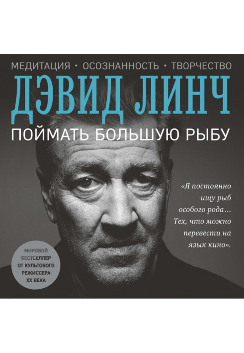 Книга Поймать большую рыбу. Медитация, осознанность, творчество