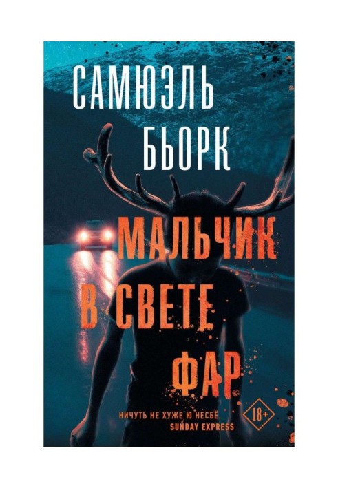Book Boy in the light of headlights