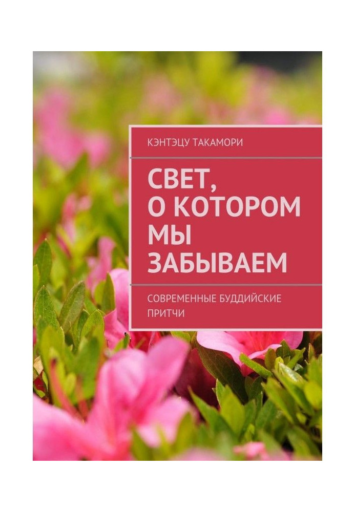Книга Свет, о котором мы забываем. Современные буддийские притчи