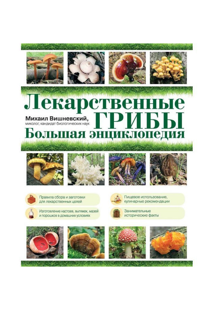 Book Medicinal mushrooms. Large encyclopaedia