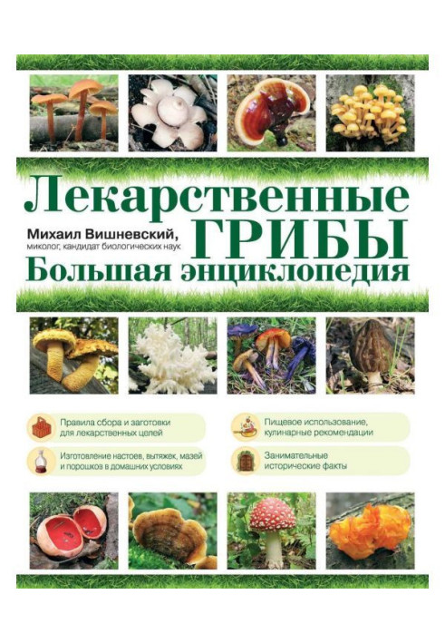 Book Medicinal mushrooms. Large encyclopaedia