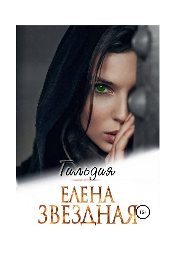 Книга Гильдия