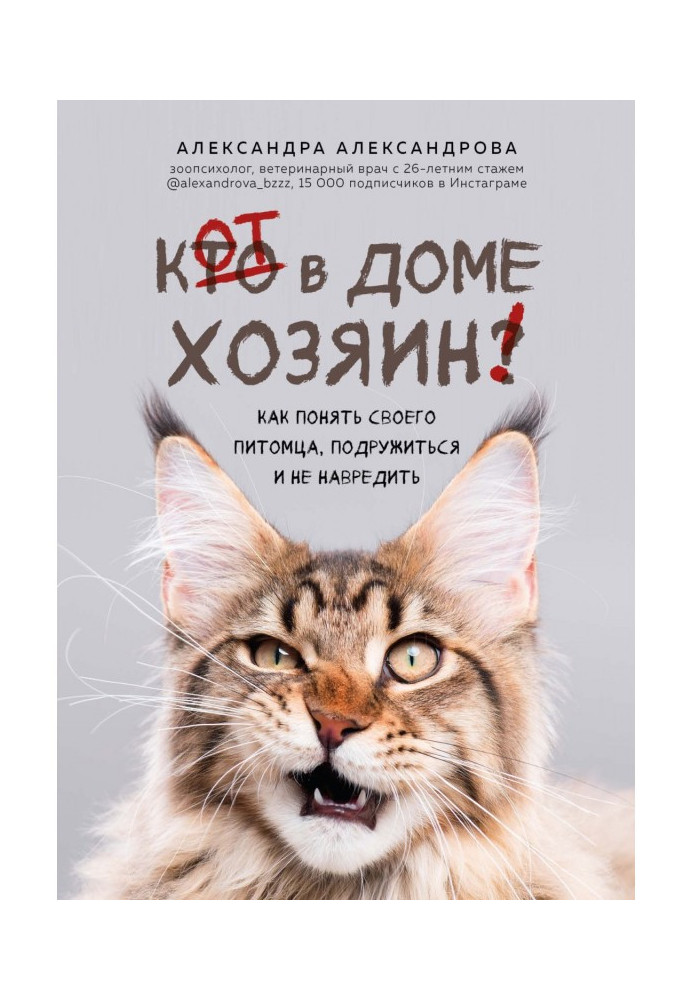 Book Cat in a house owner! How to understand the pet, make friends and not harm