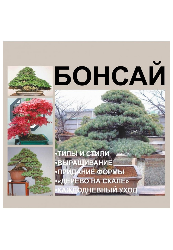 Book Bonsai