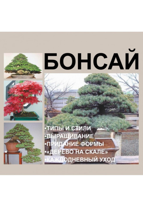 Book Bonsai