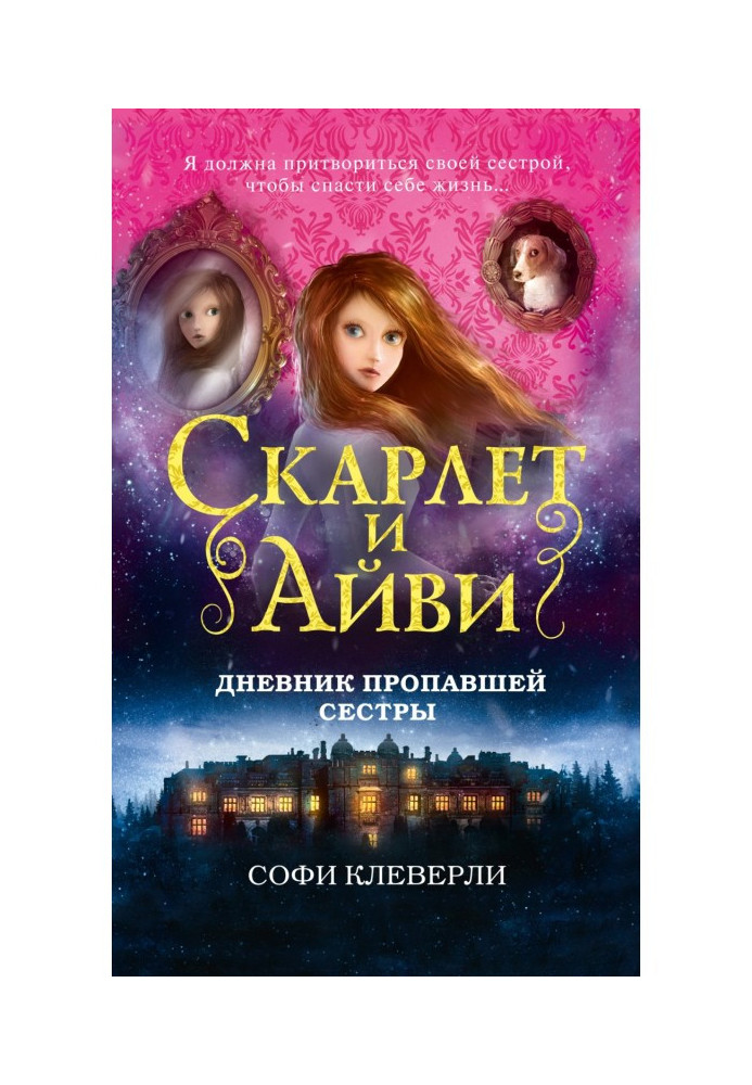 Book Diary of a Missing Sister