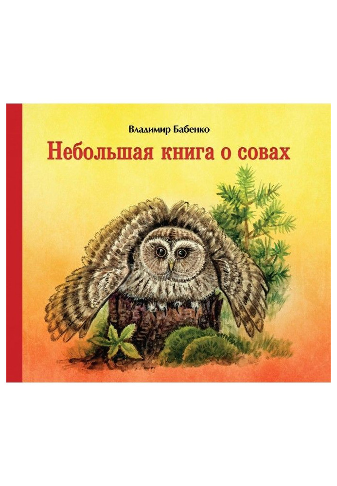 Книга Невелика книга про сов