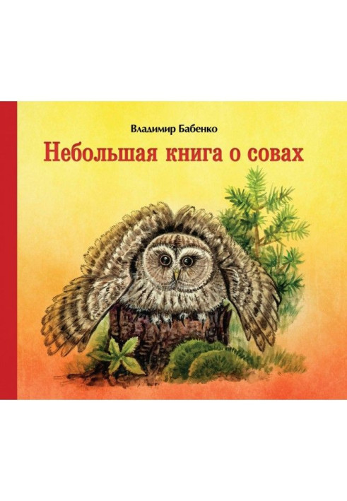 Book A small book about owls