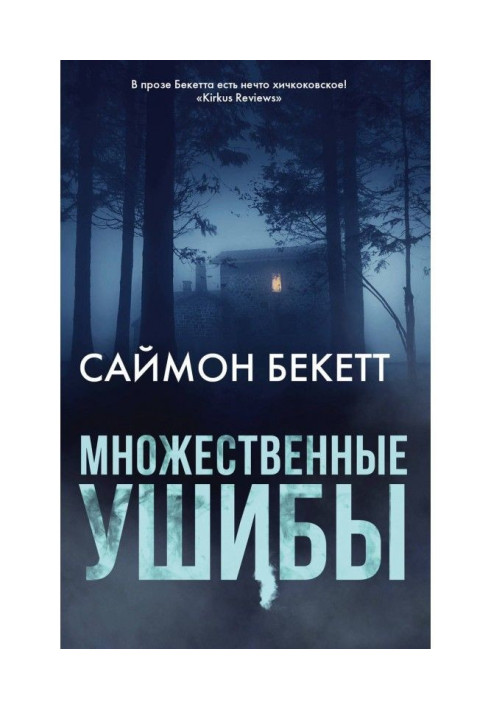 Книга Численні удари