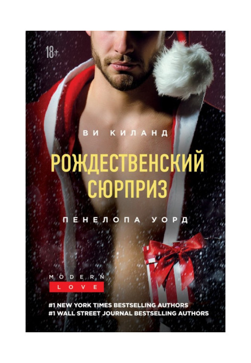 Book Christmas surprise. Collection
