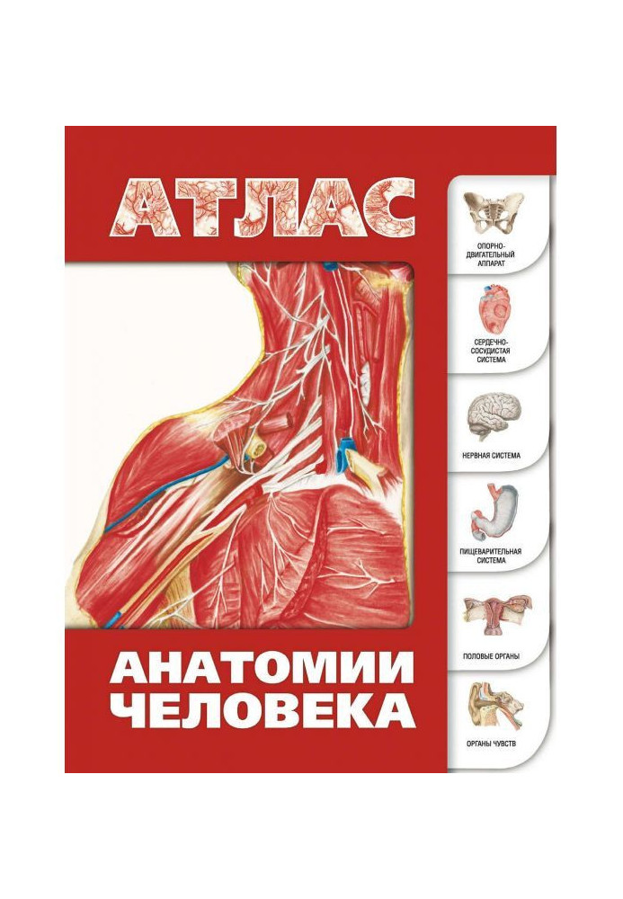 Книга Атлас анатомії людини