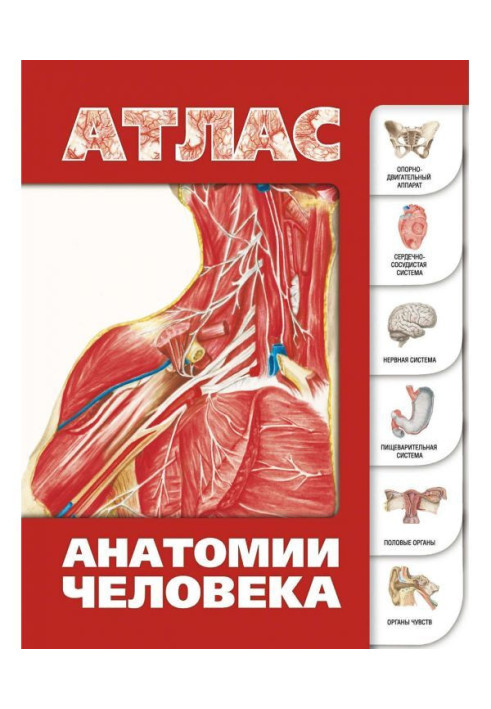 Книга Атлас анатомії людини