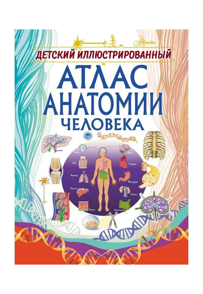 Книга Детский иллюстрированный атлас анатомии человека