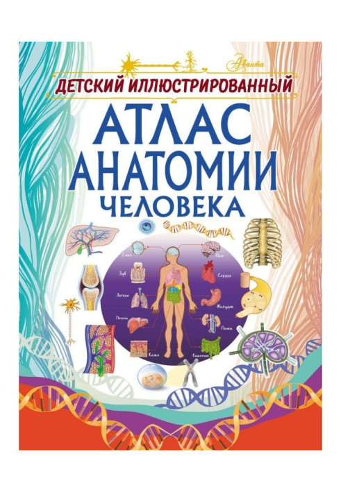 Книга Детский иллюстрированный атлас анатомии человека