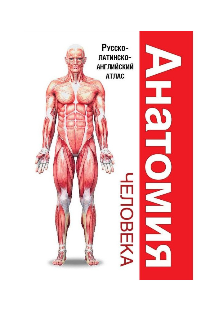 Book Human anatomy. Russian-Latin-English Atlas