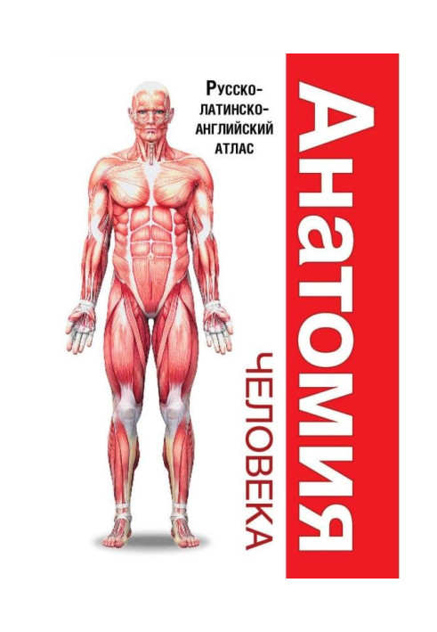 Book Human anatomy. Russian-Latin-English Atlas