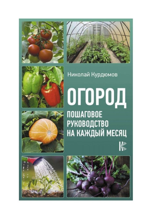 Книга Город. Покрокове керівництво на кожен місяць