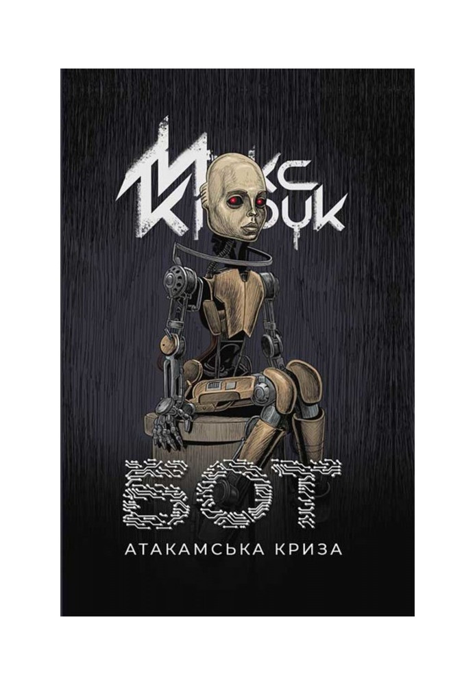 Книга Бот. Атакамська криза